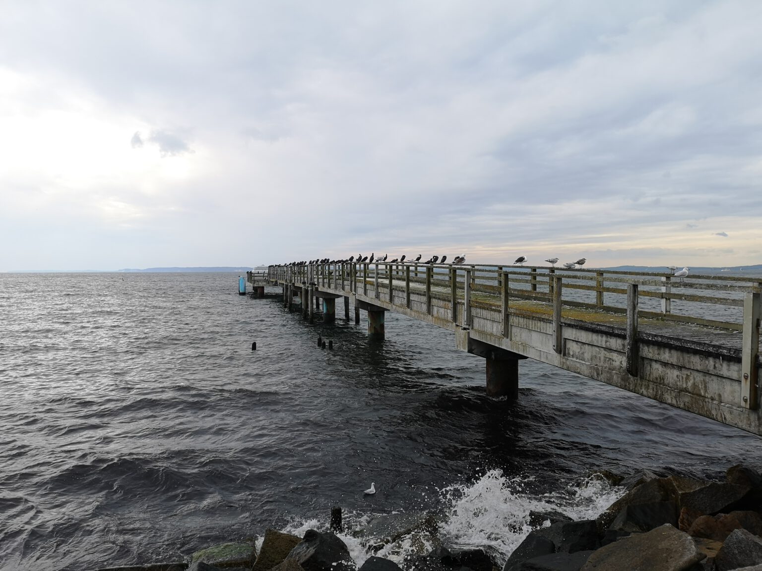 RügenRundweg Mit Fahrrad um die Insel radeln Stadt Land Rad