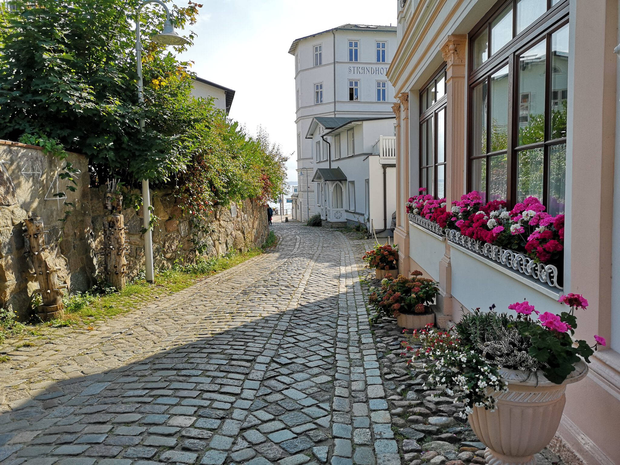 RügenRundweg Mit Fahrrad um die Insel radeln Stadt Land Rad