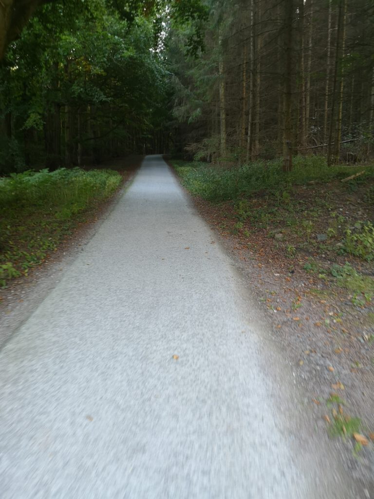 Radweg Nationalpark Jasmund Fahrradtour