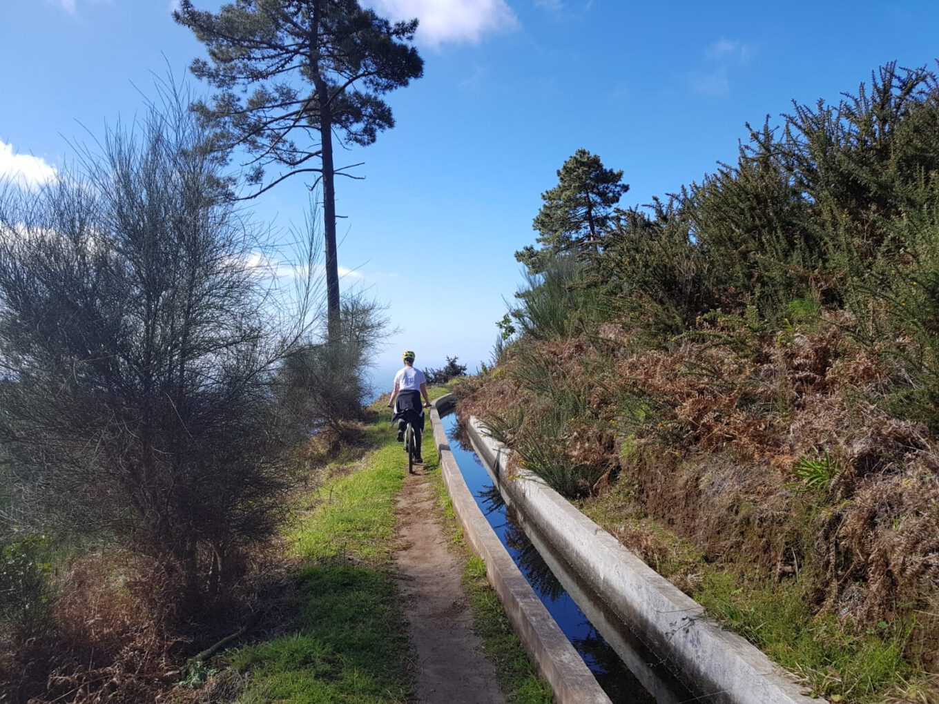Fahrrad fahren auf Madeira Erfahrung