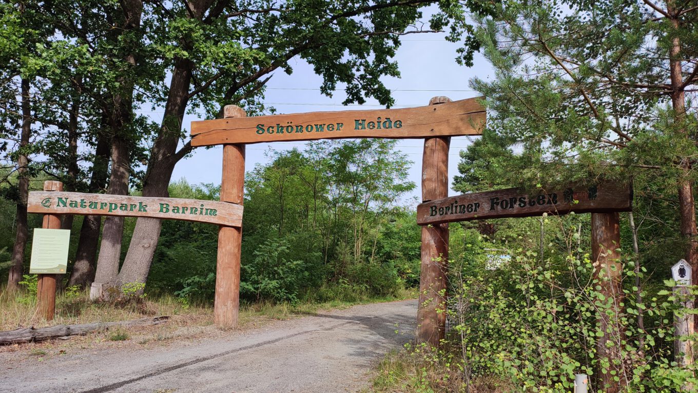 Schönower Heide Schöne Zeiten in der Heide bei Berlin