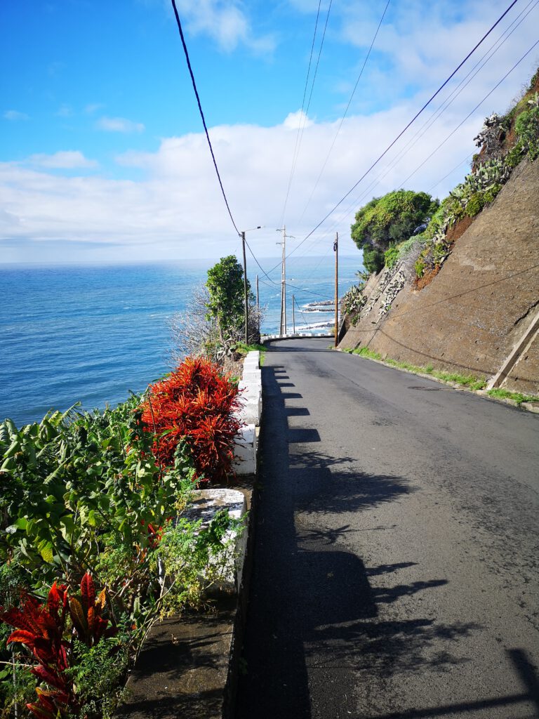 Madeira-Tipps-Strasse-nach-Calheta